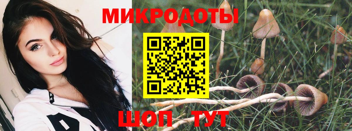 Галлюциногенные грибы Psilocybine cubensis Кулебаки